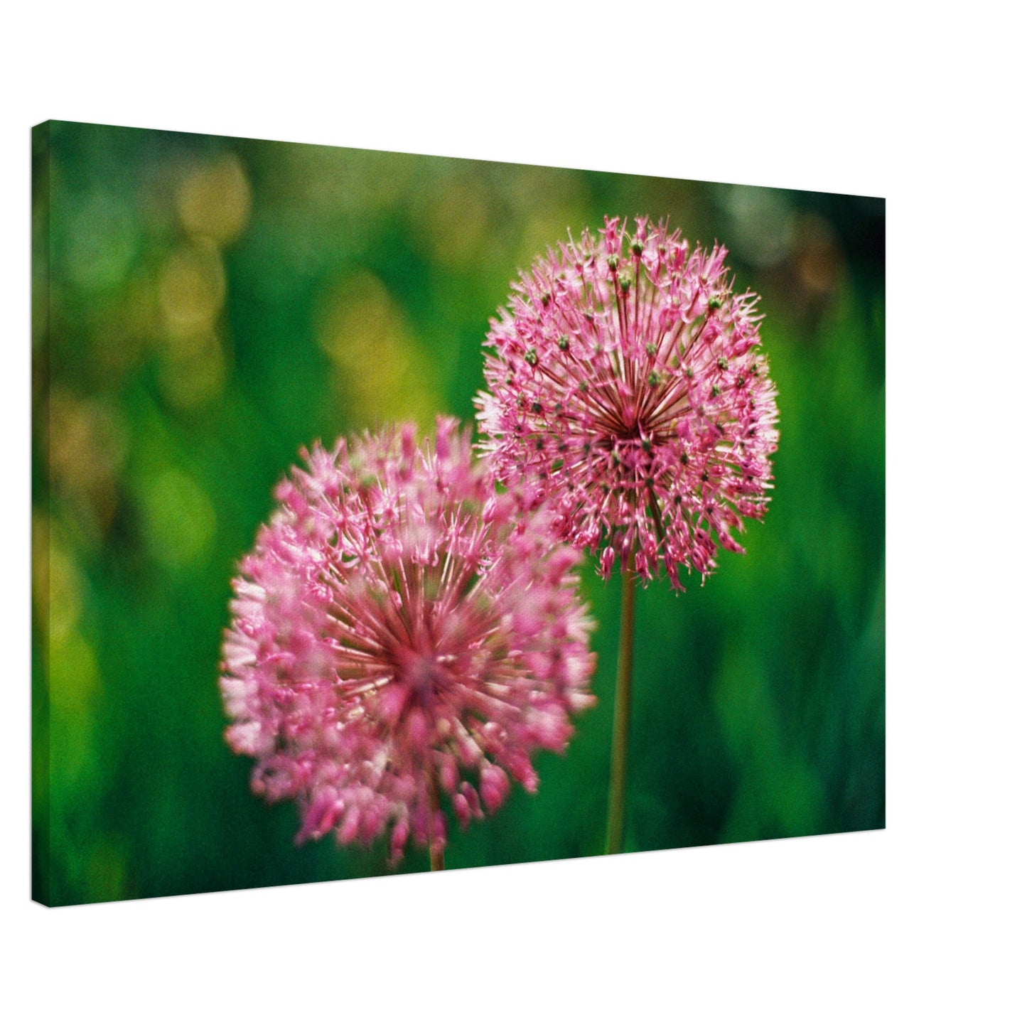 0074e6f4-b7dc-45d8-8d22-1fc64169228b