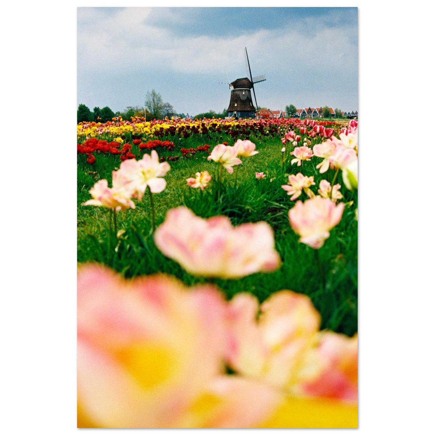 0389bf01-0fab-401f-a70c-766f8e39d7ac