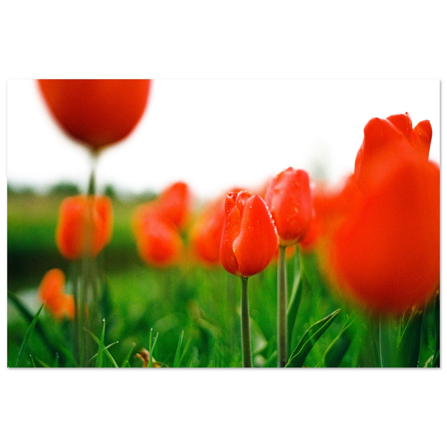 0b883d86-99d0-422b-968d-32b934fb4ce9