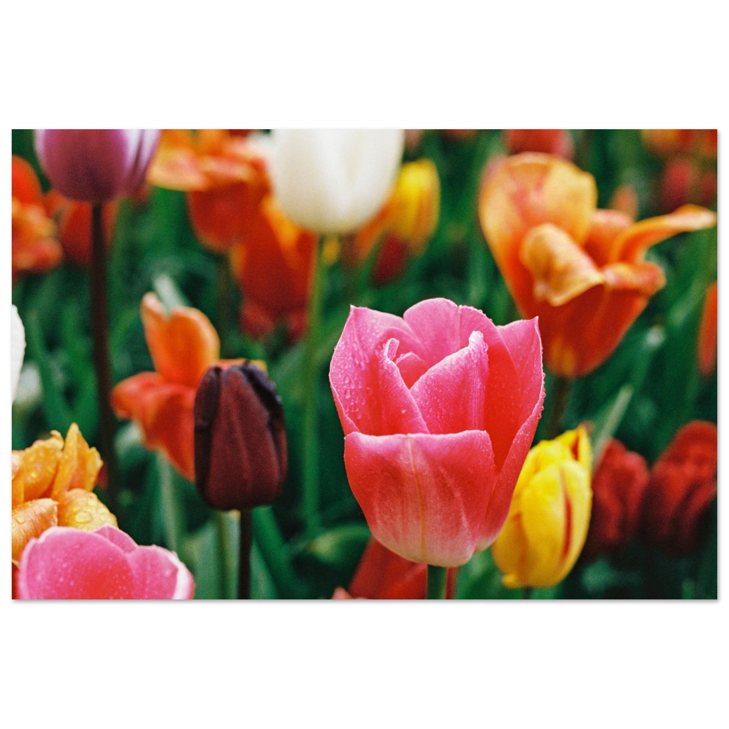 6502e0d0-35a0-4624-896b-52f1688d6250