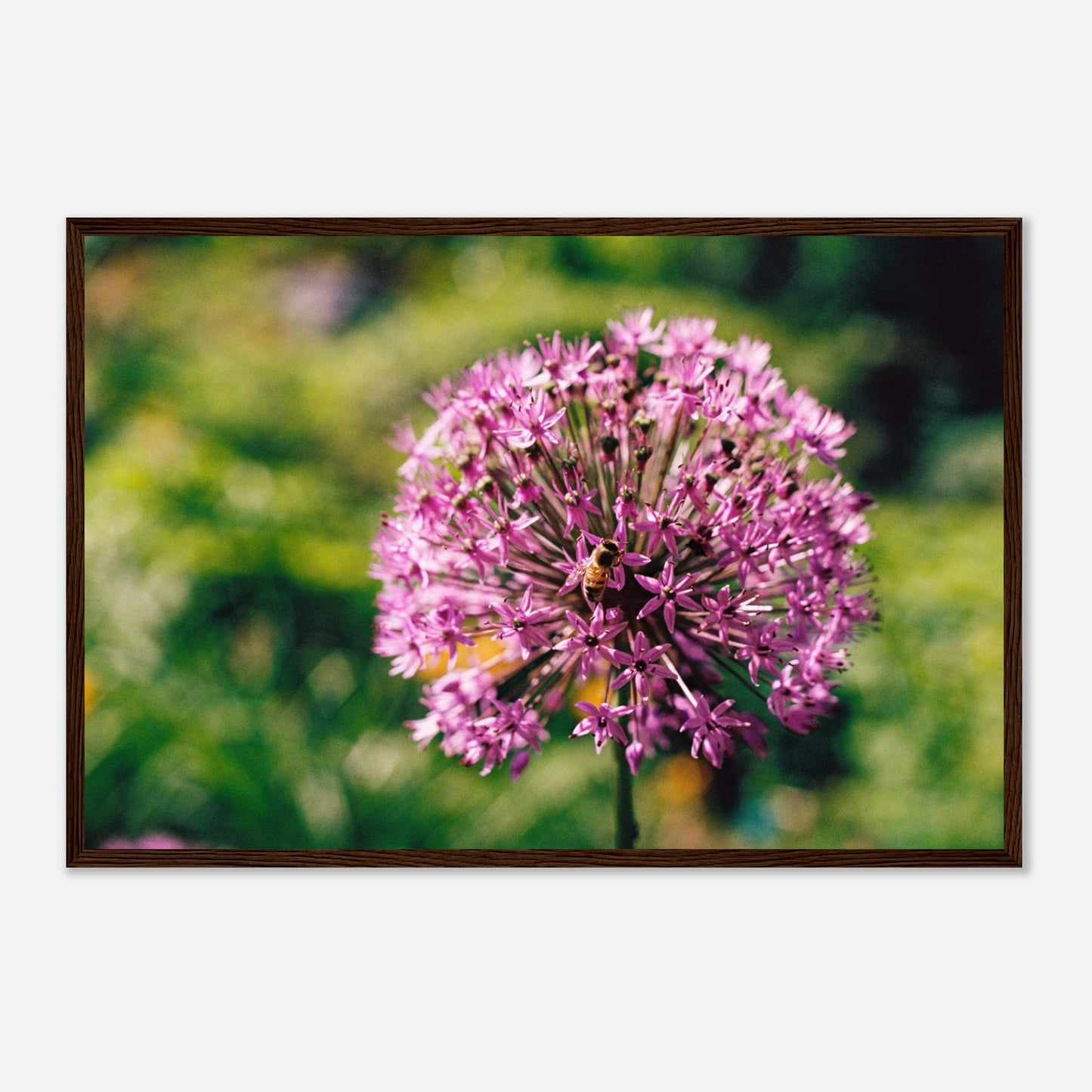 76755114-3121-4988-96f5-61c529abaa26