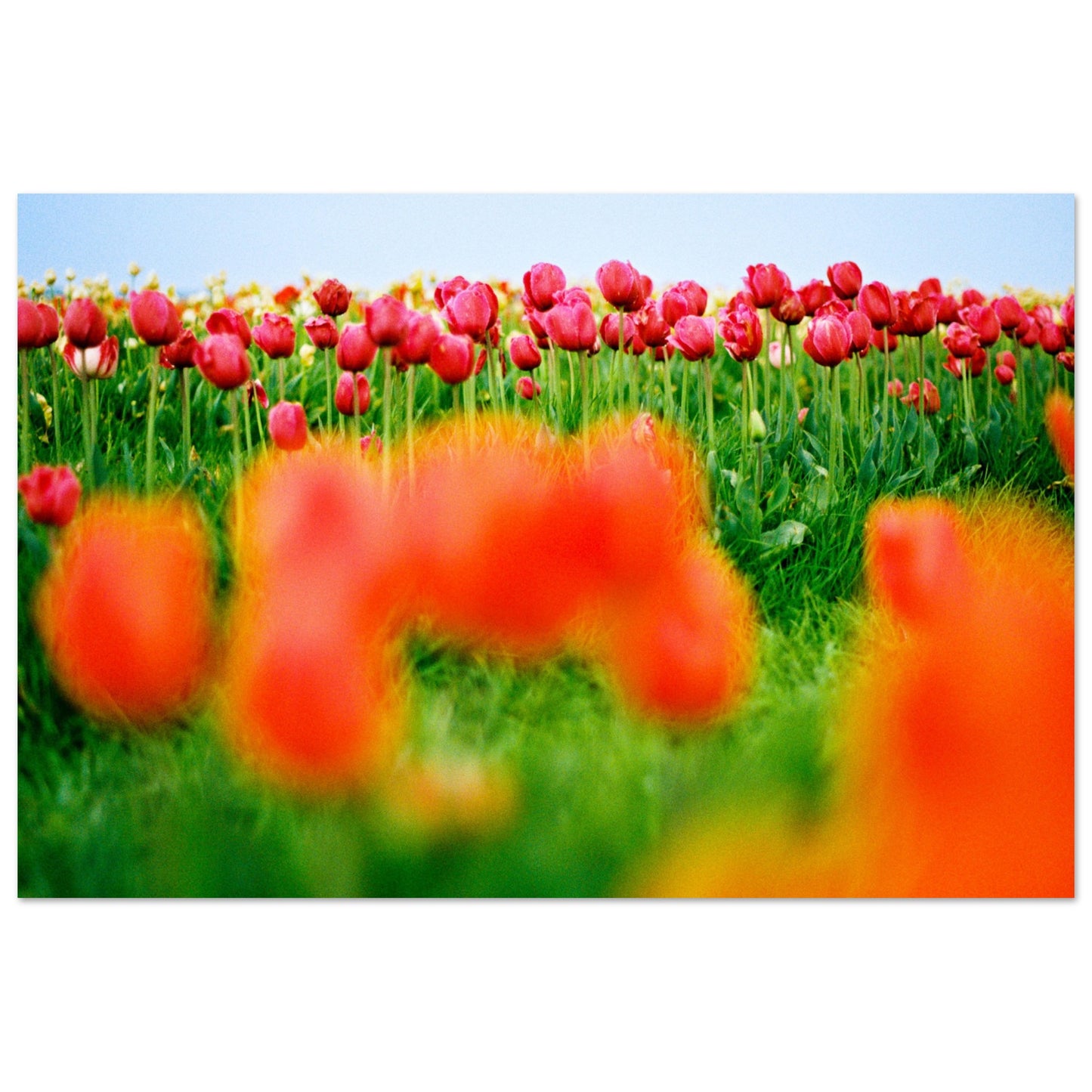 839685a7-24c0-4a89-ac78-92dca3417d6e