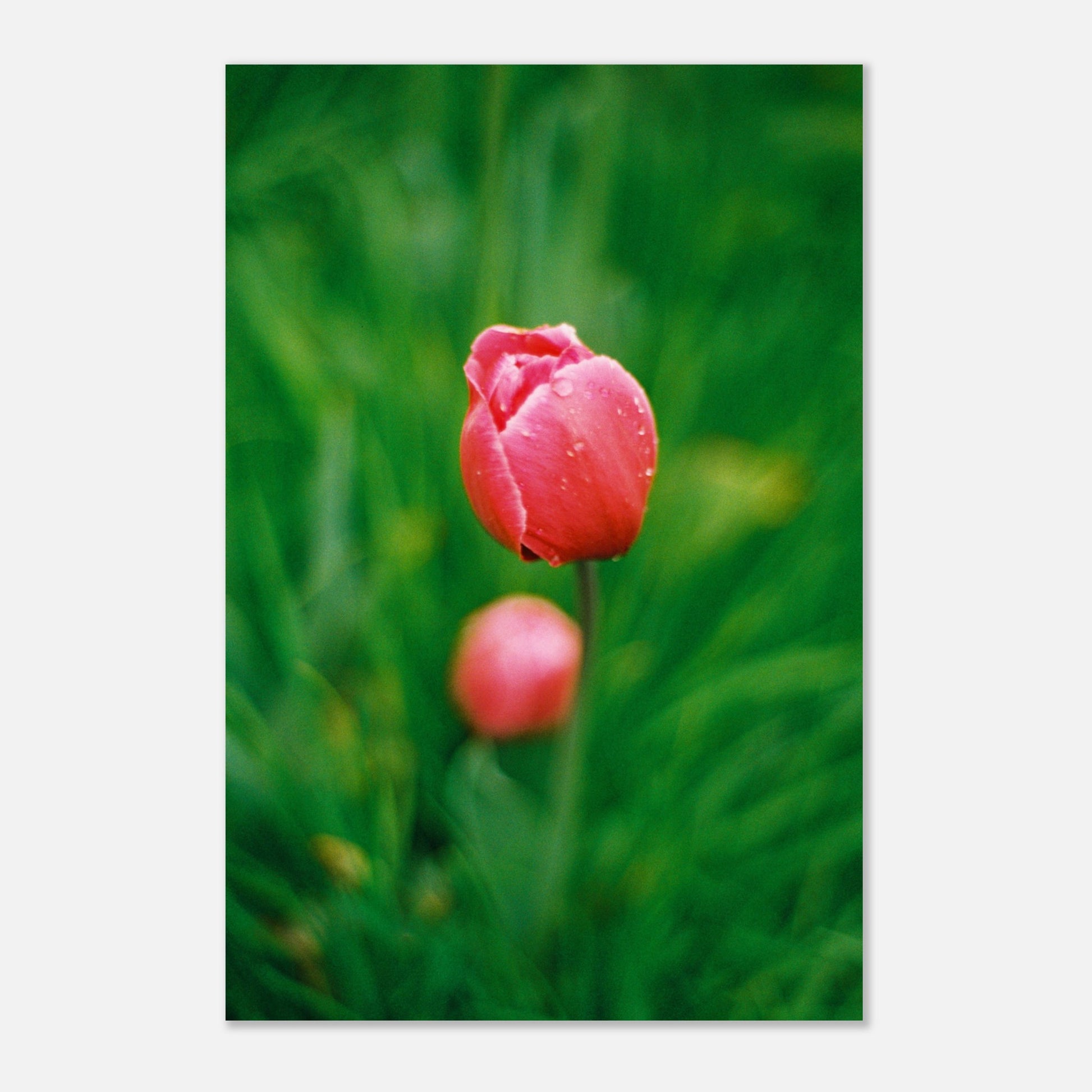 957448c2-11c6-4781-9d6b-67f07aa572c5