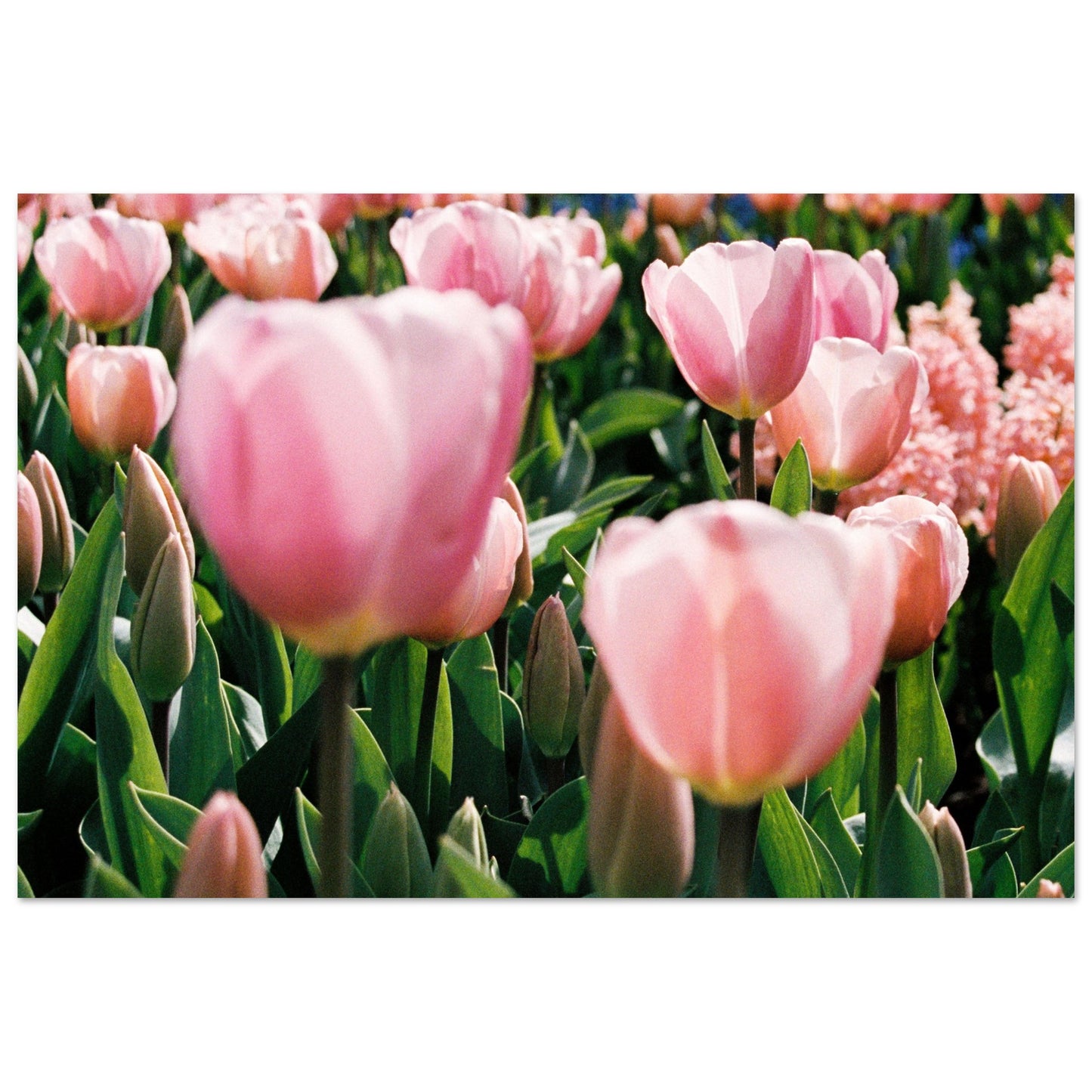 9ca51d73-a4ad-4ffa-bf33-91fe804d2825