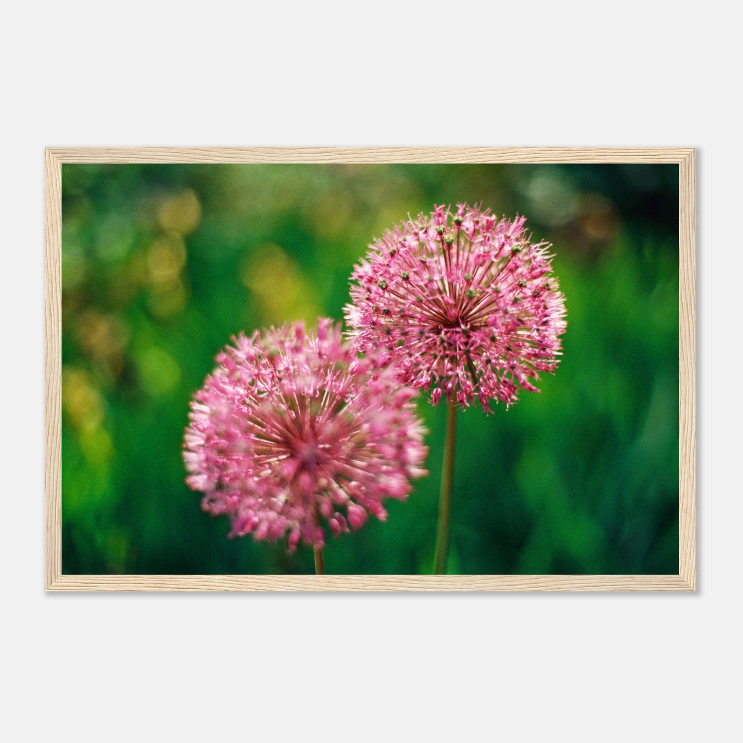 a1782fbc-aacc-4b3b-ba76-767b0f540085