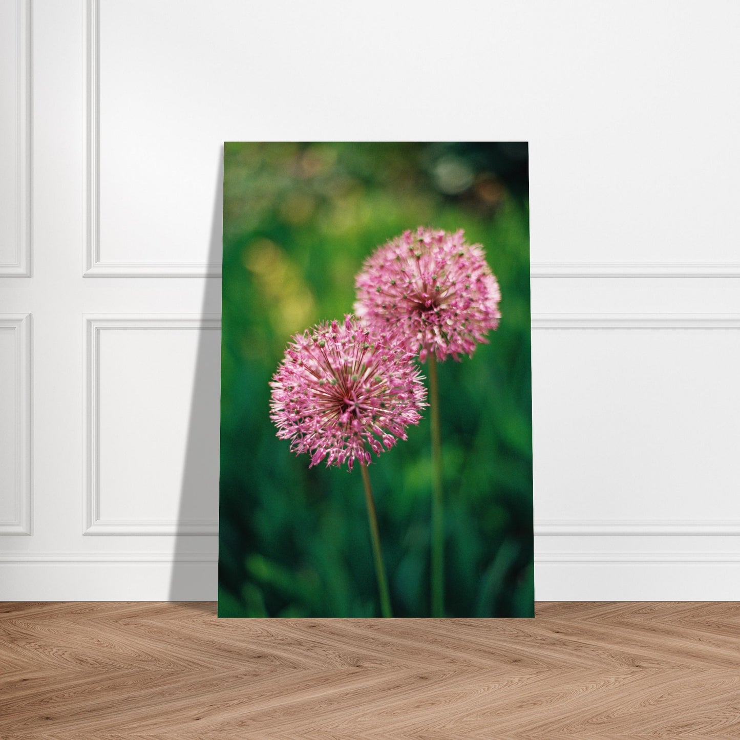 Allium Blooms № 1
