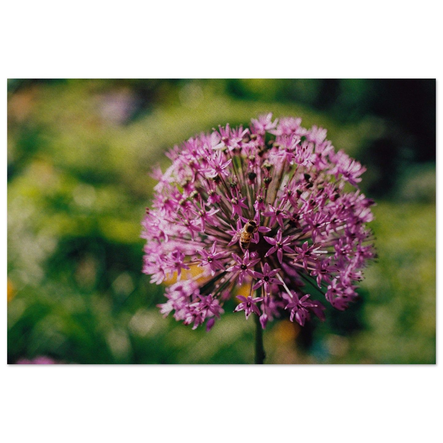 bbf64100-bcb4-4bbb-a061-3a54298fc4b8