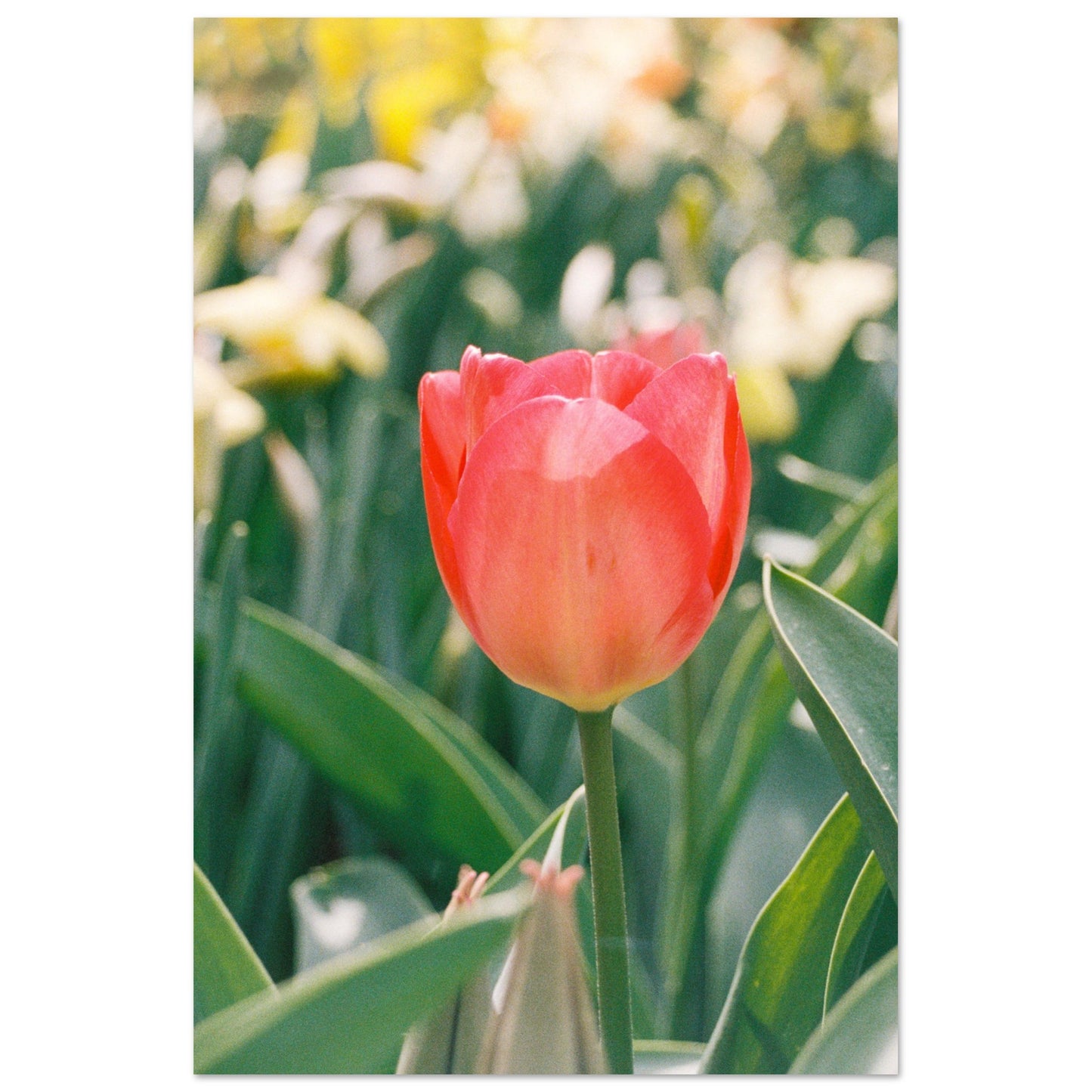 c0dd870a-e6e2-4673-9ebe-8516e7f0a450