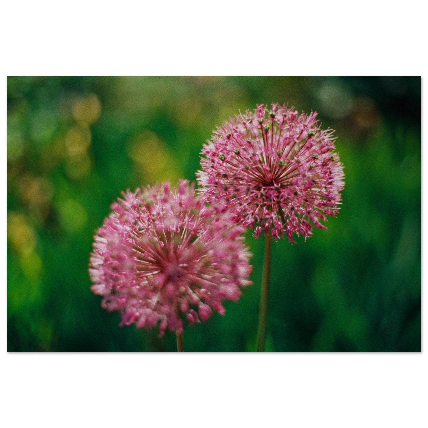 d4cc8e81-f0e4-41f8-b720-641bf7a069fa