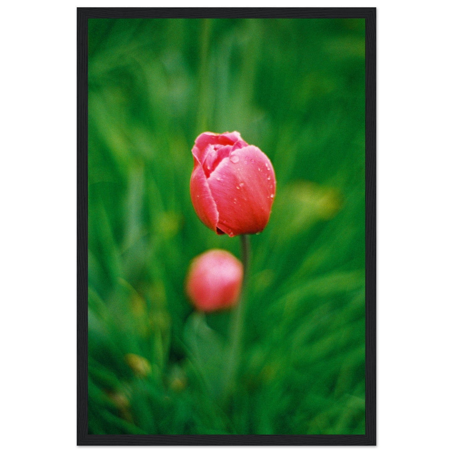 05ea13c1-b5ac-4a61-80be-fe43c708bf02