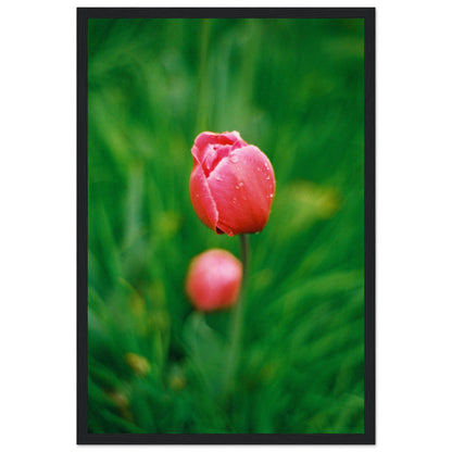 05ea13c1-b5ac-4a61-80be-fe43c708bf02