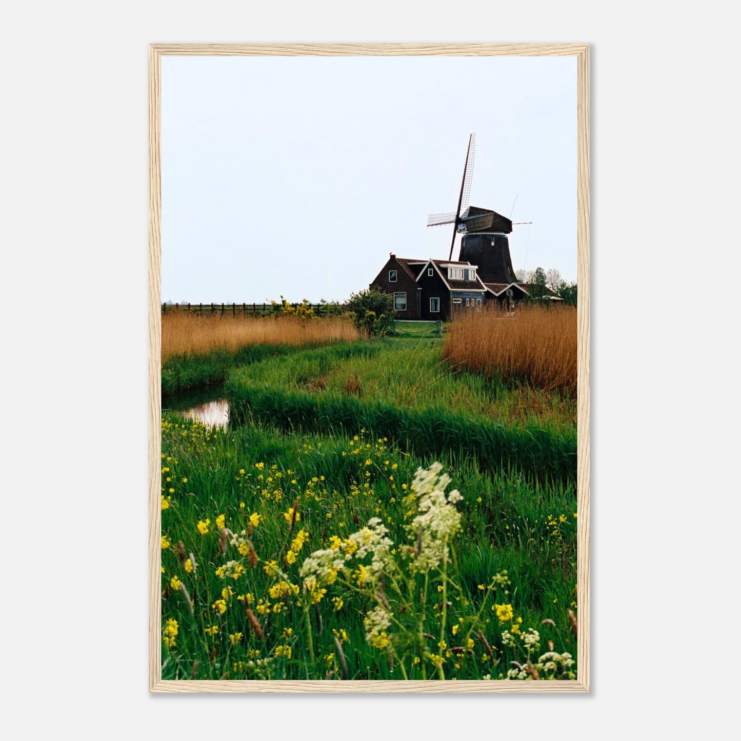 06a2f6ee-a294-46ba-95d2-ff9af8185355