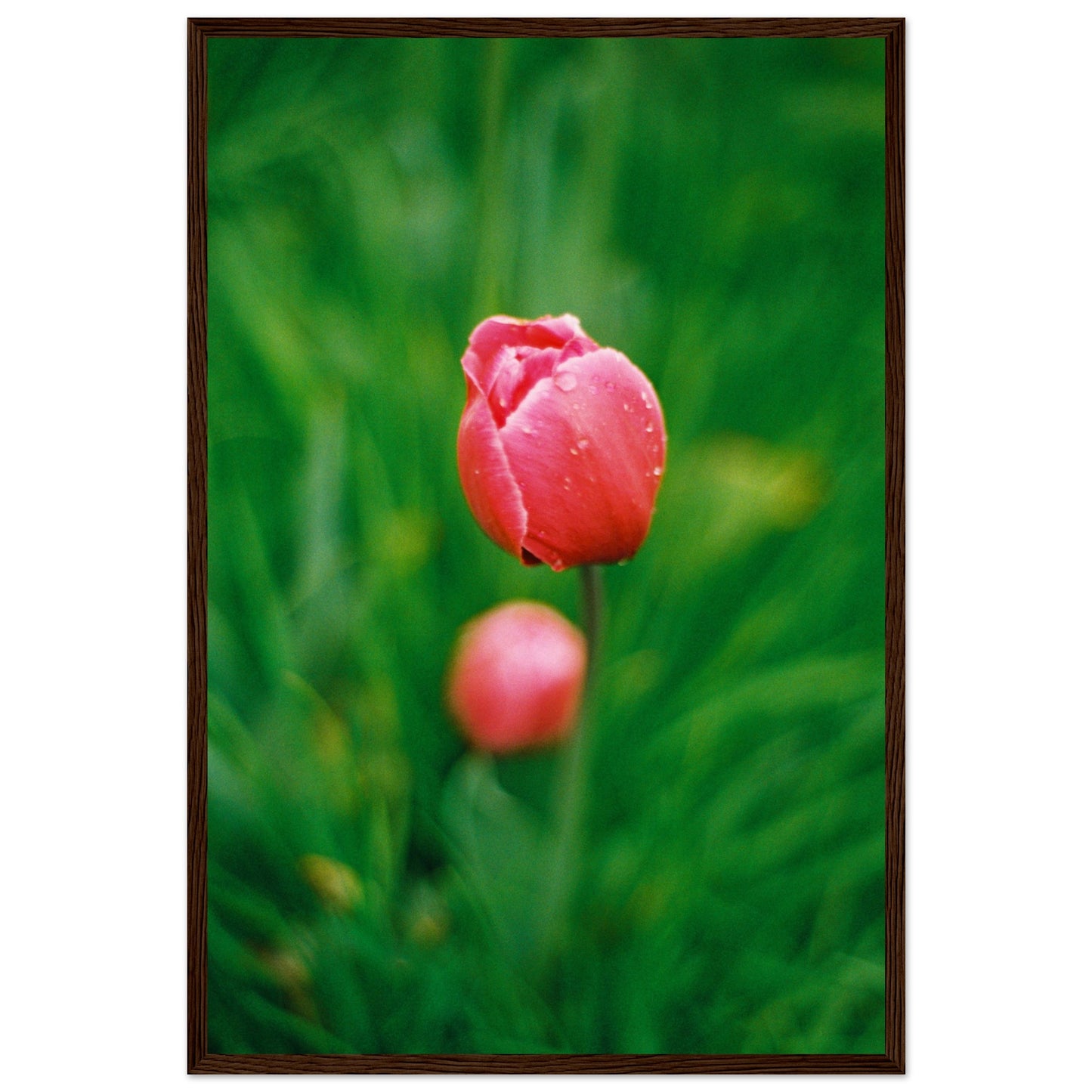 0dcbc78f-7714-4e5c-8024-ac253968d0ac