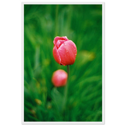 0fb09195-7e8b-4b63-91b4-b726508946c2