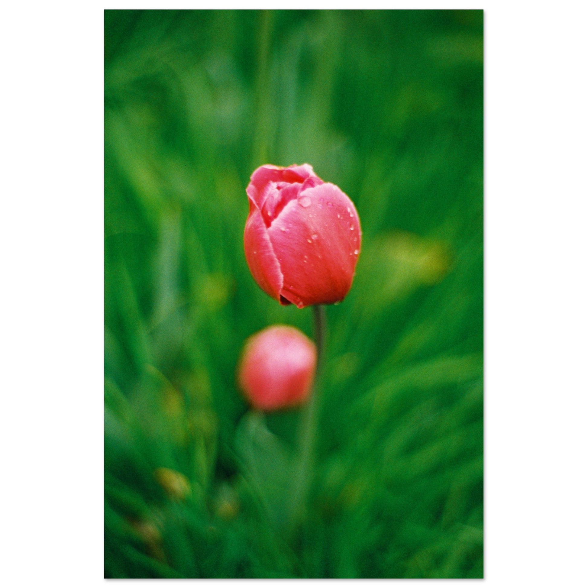 15d1102f-b140-4b17-8105-18389710799e