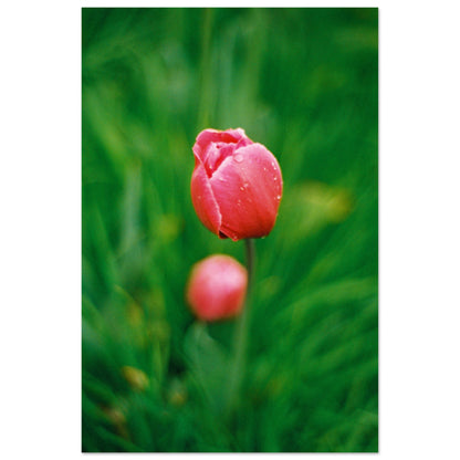 15d1102f-b140-4b17-8105-18389710799e