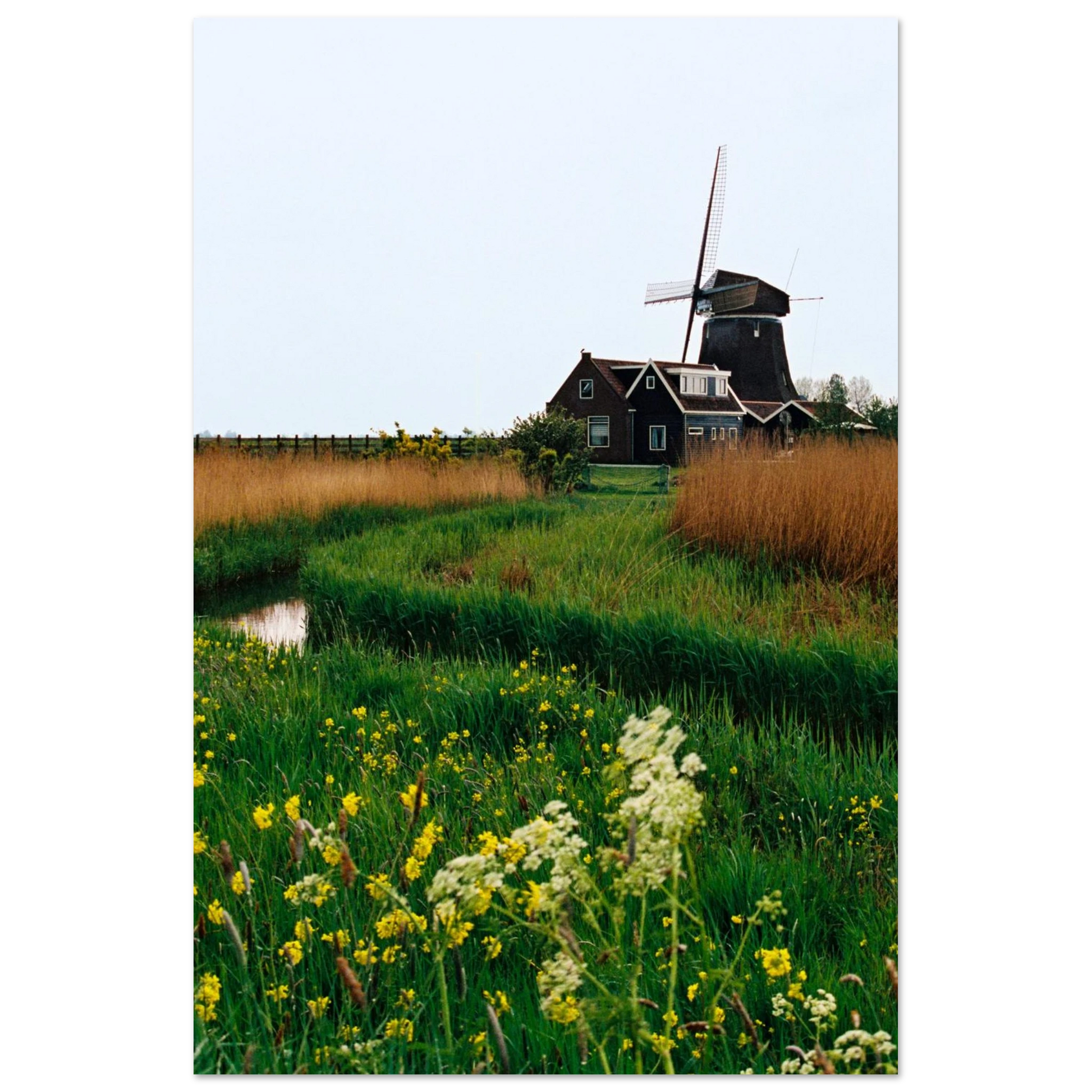 2237f0fe-8e62-49bc-a920-80366c3d9f65