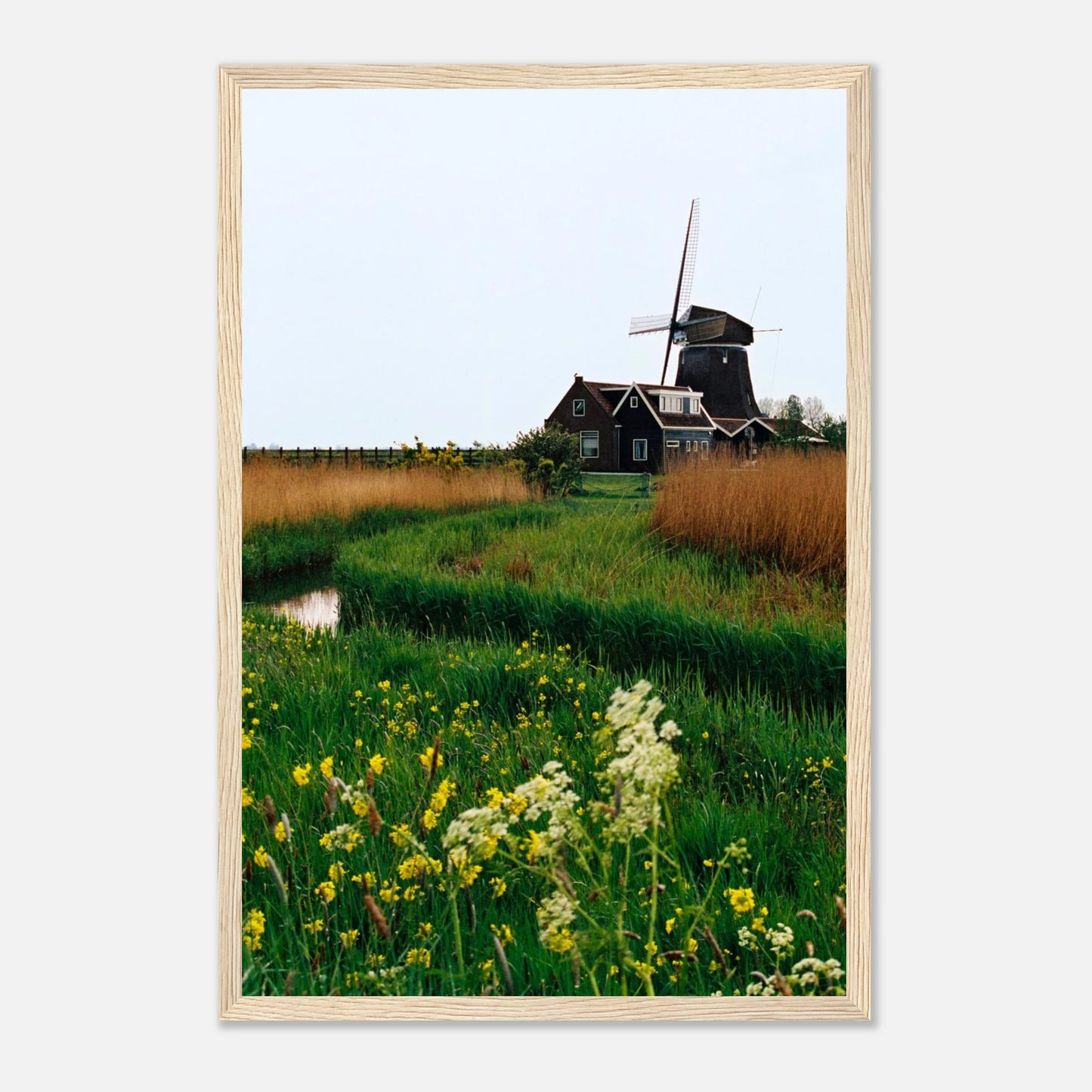 227b2f80-f35f-4de7-937b-412445e0eba3