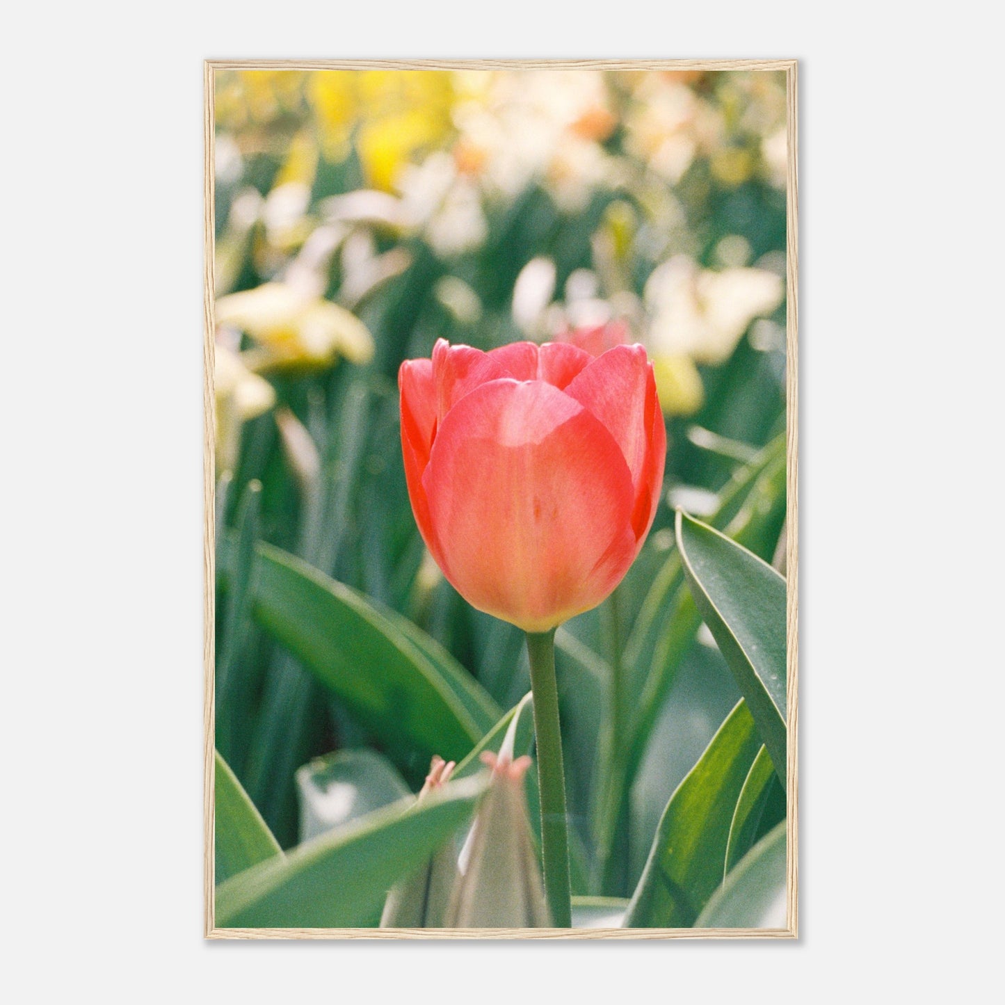 23c86a6e-df97-417a-b327-ed1def74ad9a