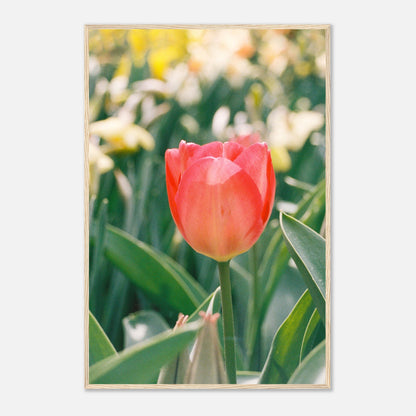 23c86a6e-df97-417a-b327-ed1def74ad9a