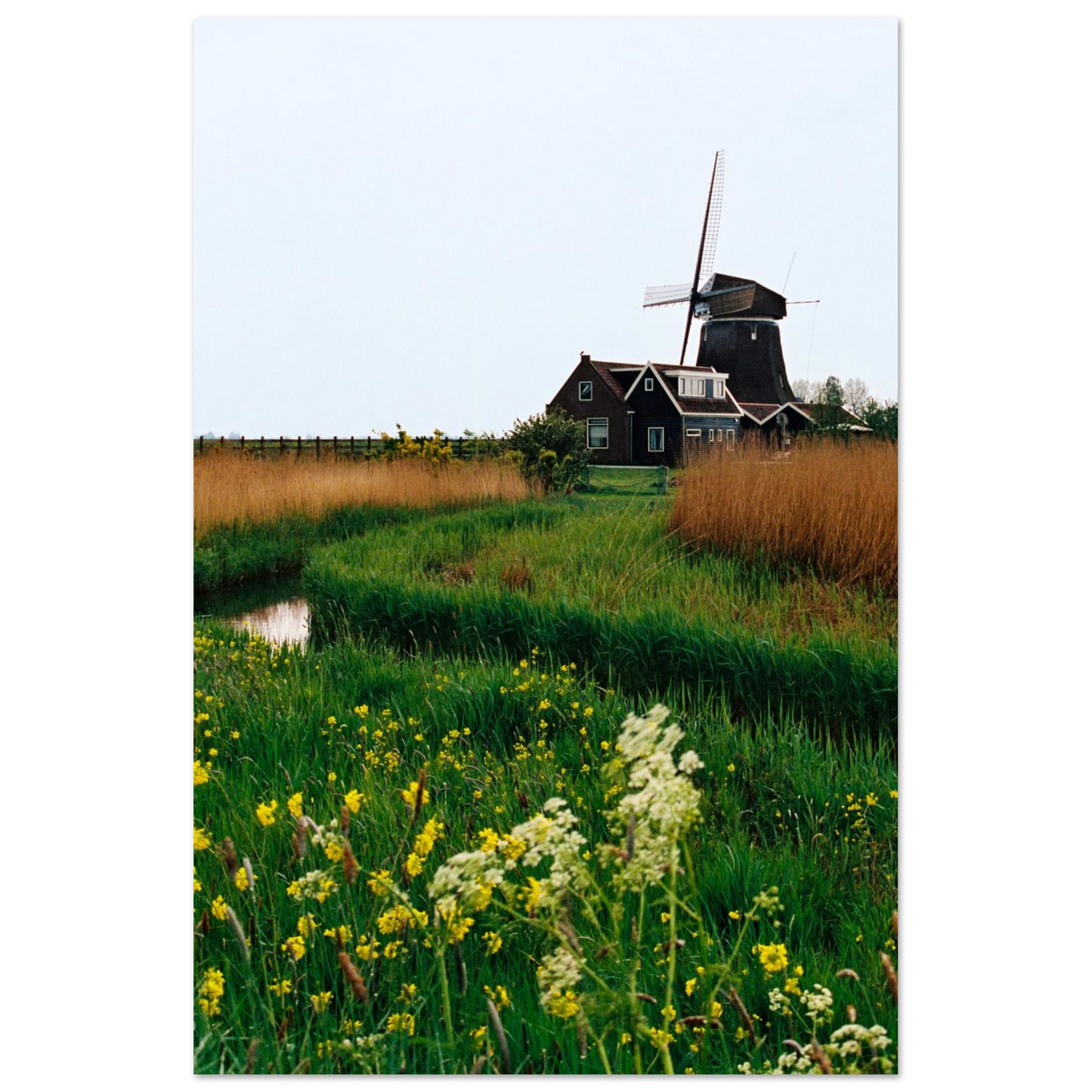 2a979028-ce14-4730-b3a3-bb17e70ddc7c