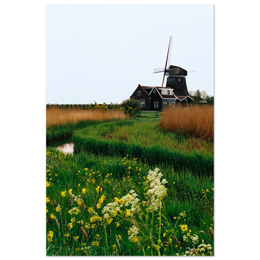 2a979028-ce14-4730-b3a3-bb17e70ddc7c