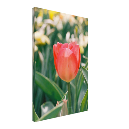 2c4c0278-a52c-43af-bf3b-1bf320ad72d6