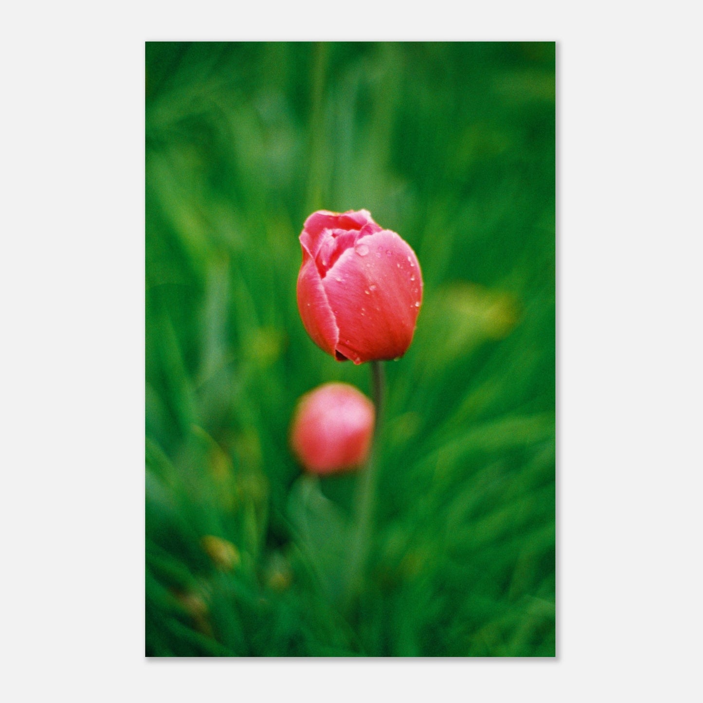 3a3a4aa7-2c93-4b0a-9502-c3b9e23a2f35