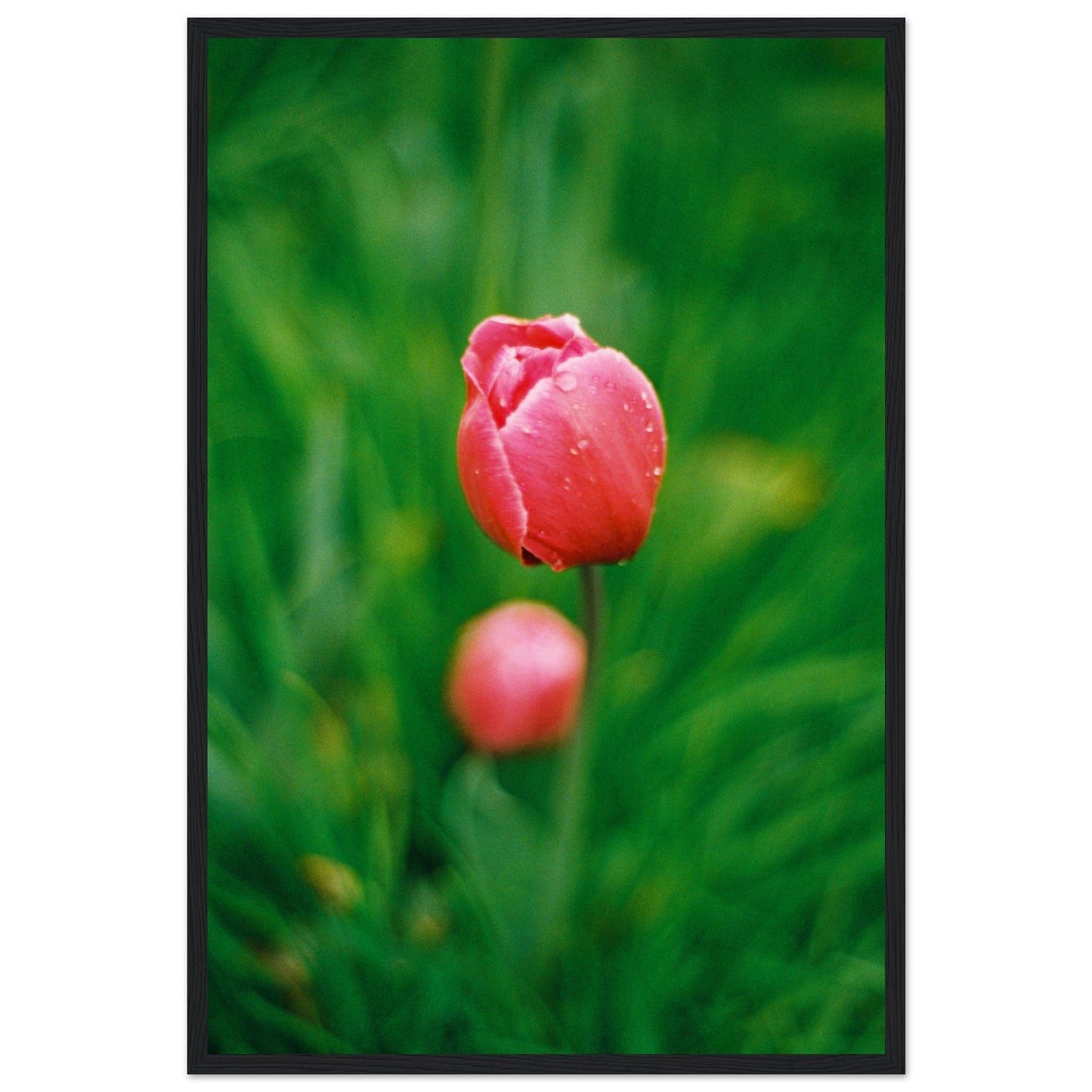 3f3dbfc7-39c3-4e7f-8ce9-f49580a7f6c4