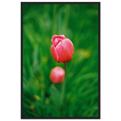 3f3dbfc7-39c3-4e7f-8ce9-f49580a7f6c4