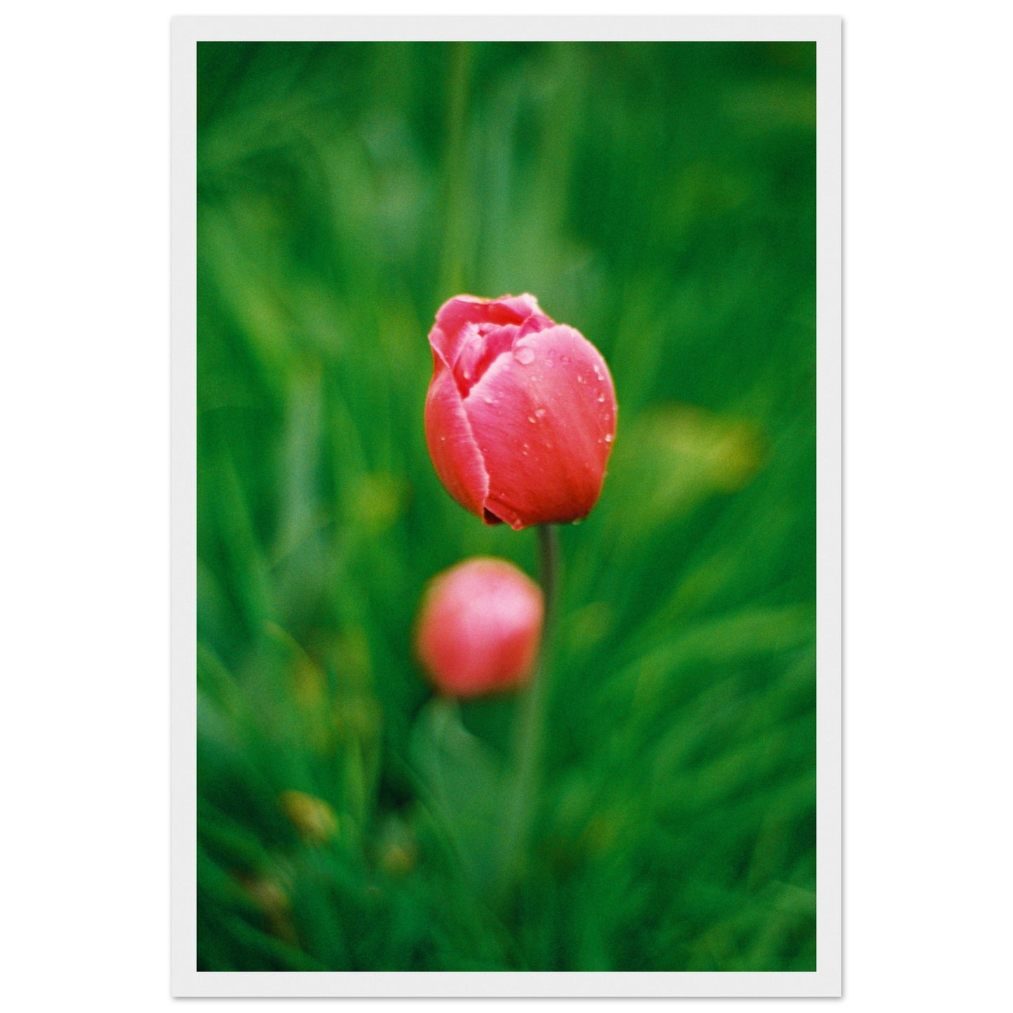 4431e462-cc63-4d10-9bb9-cc37a3ae9281