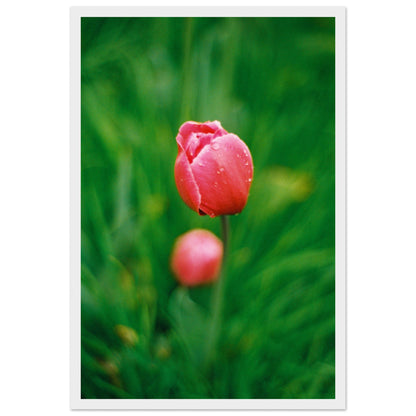 4431e462-cc63-4d10-9bb9-cc37a3ae9281