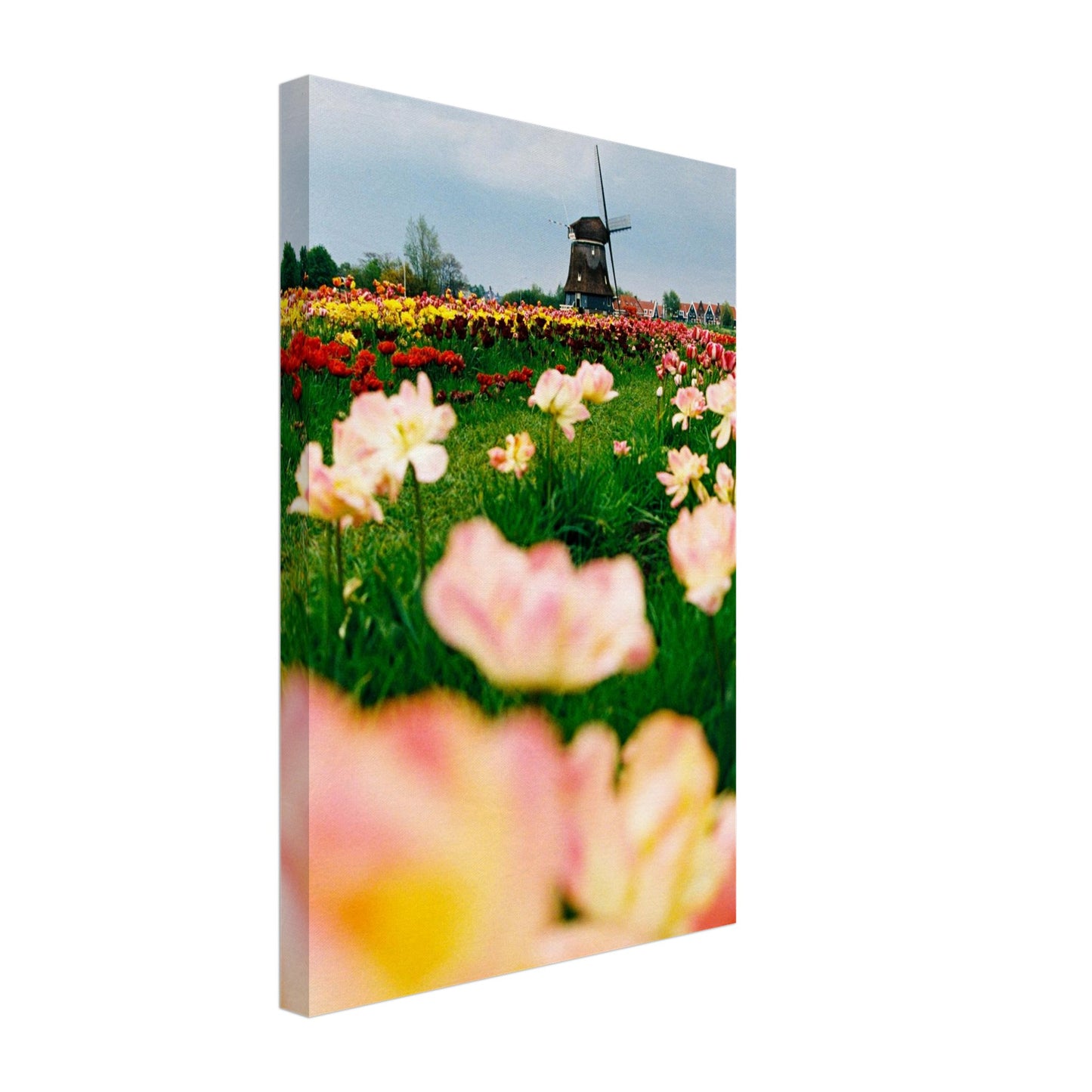 468f2e75-b5b0-4ce1-b336-fc692847136d