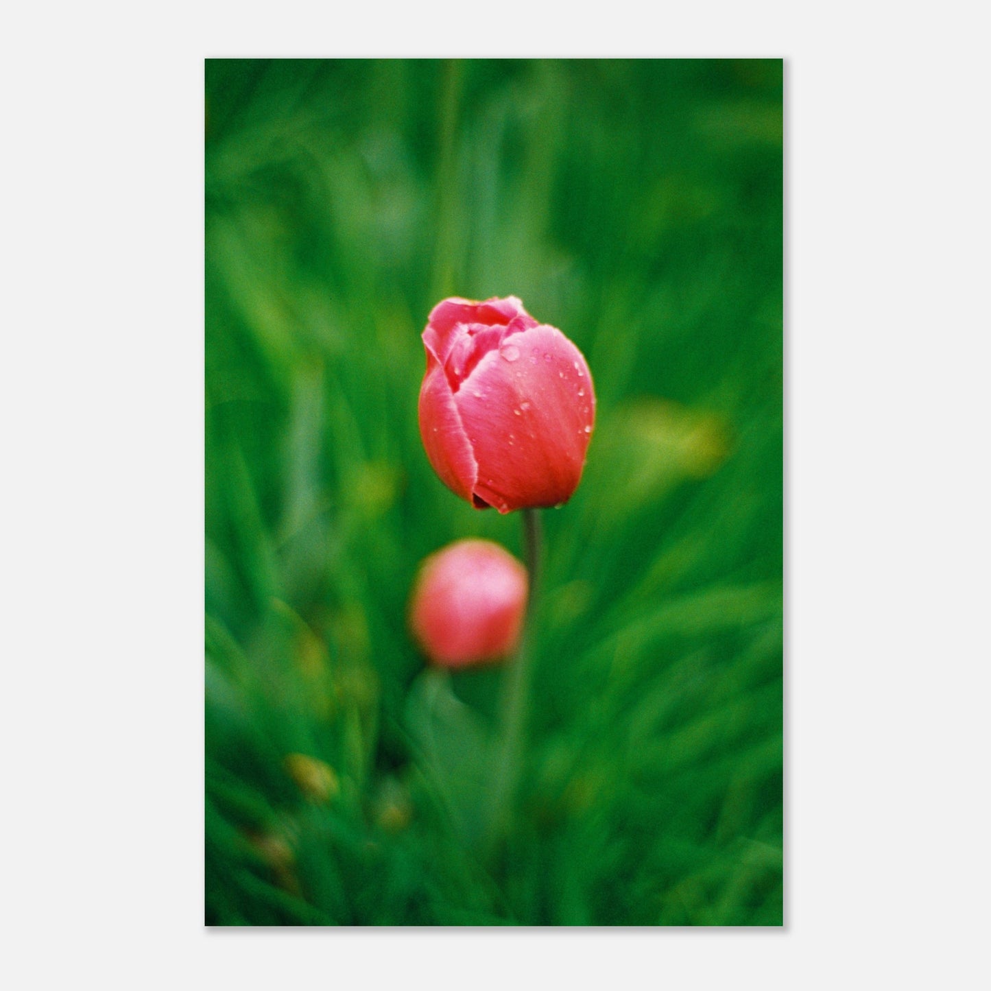 4e285fd3-e39b-467b-b923-230648ea3f0f