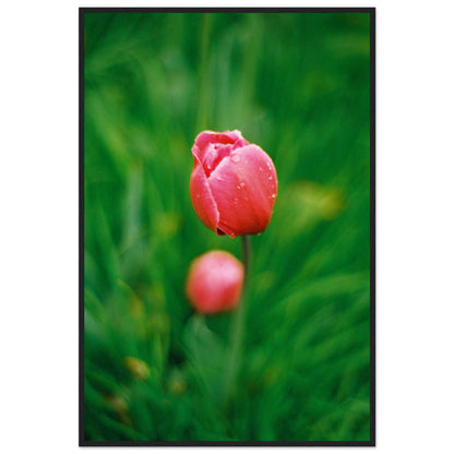 4f9d1f61-305f-4cc2-9a69-e83aed20dad6