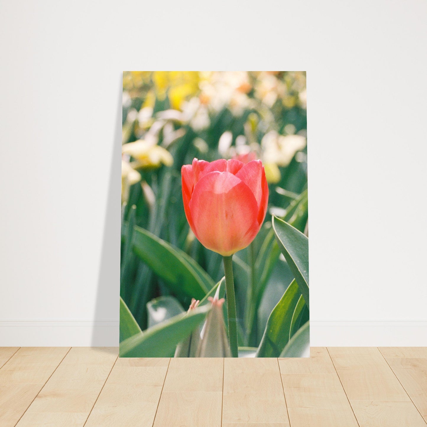 530eb208-f43d-4d5a-ab0c-39e671705e99