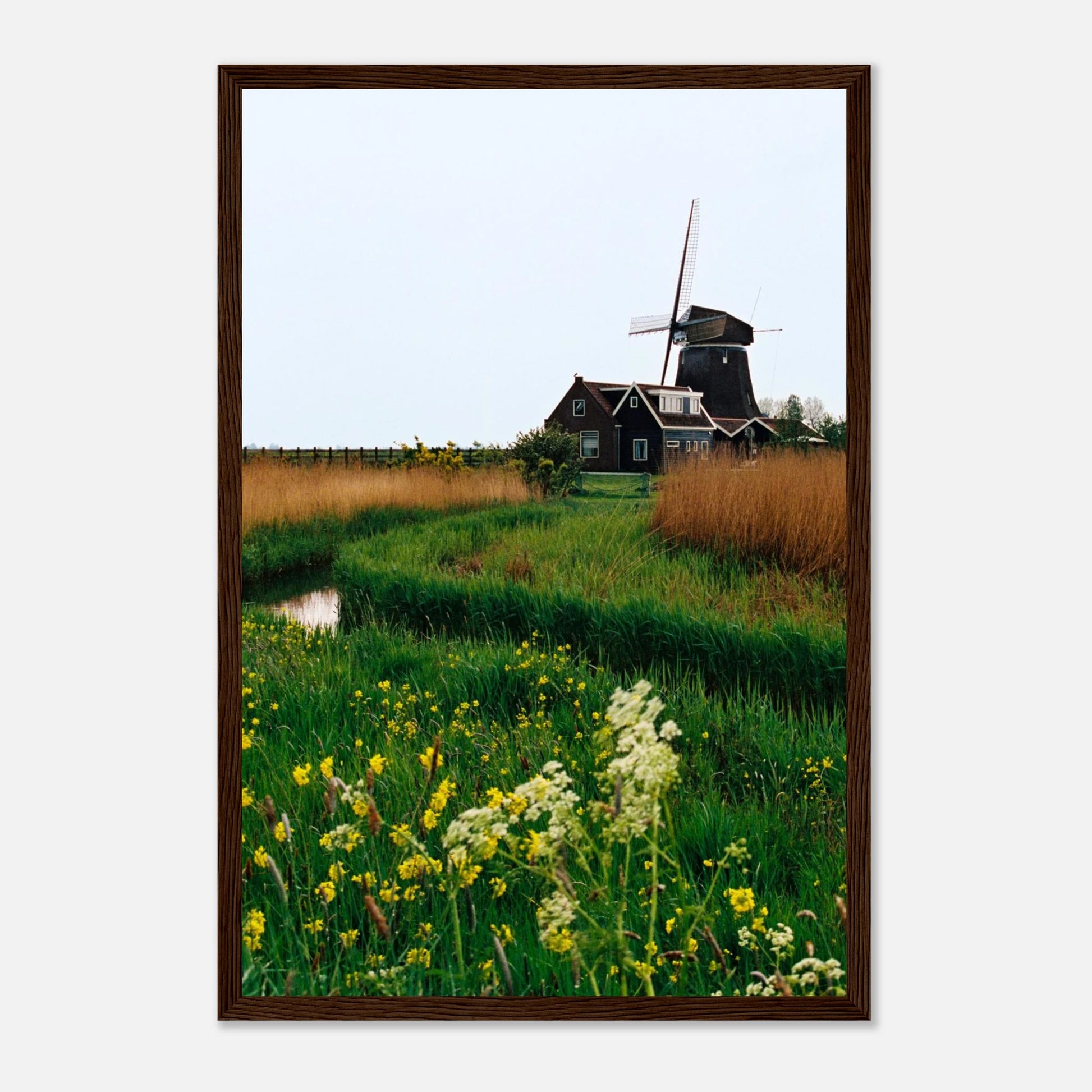 57ccfacb-4e46-4534-923a-b38021529218