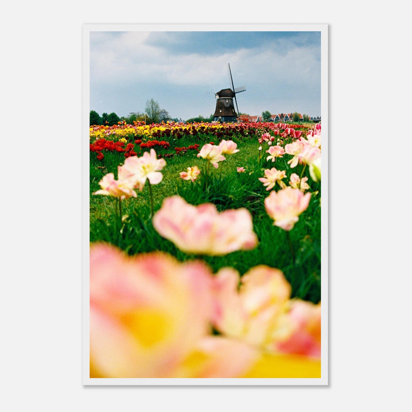 58f9b361-f2ef-419f-8ef7-ae9a678256b4