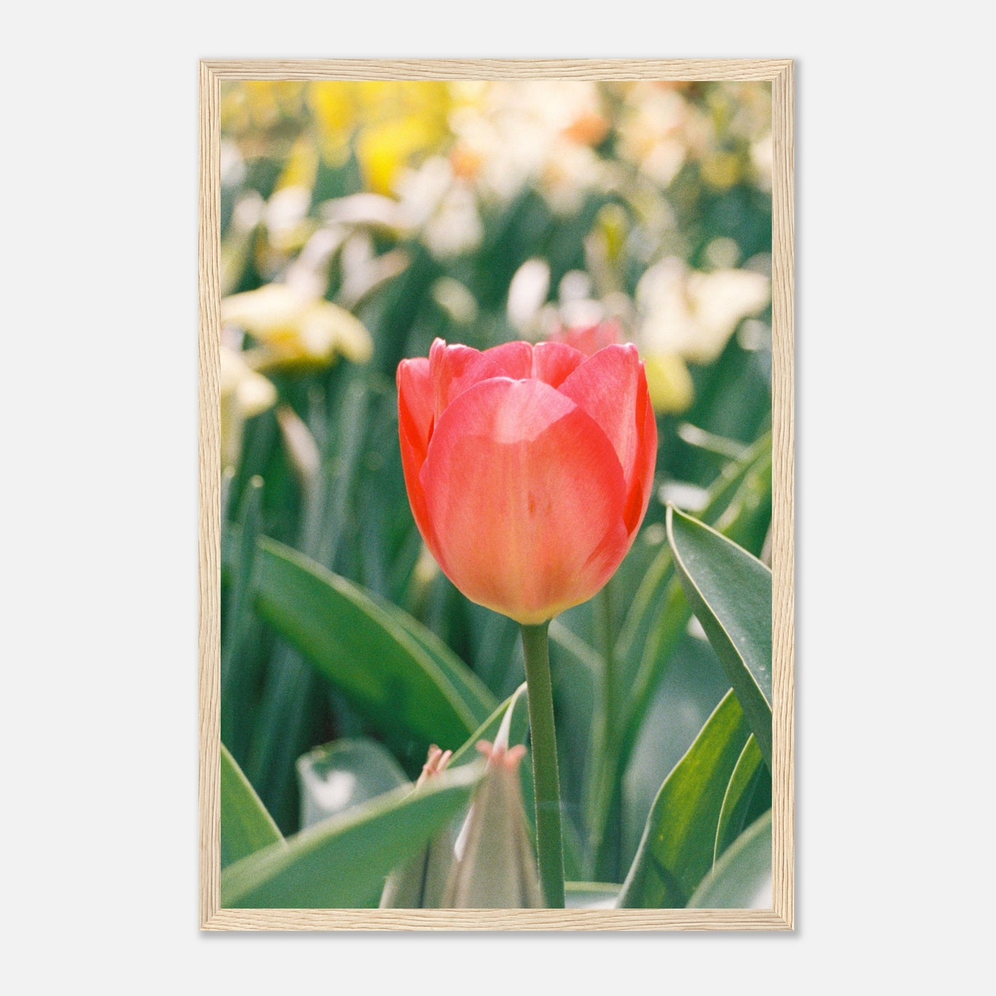 63dbf228-4d78-4e54-bb47-7cb87d33ddcc