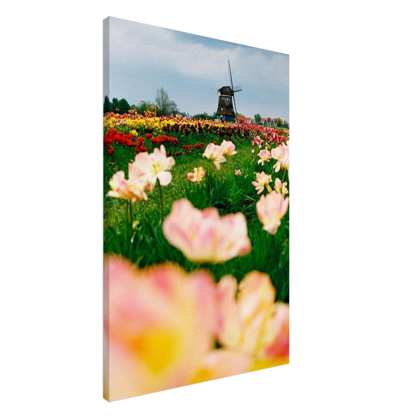 69d2860a-960a-4954-8d2a-b5db740b658d