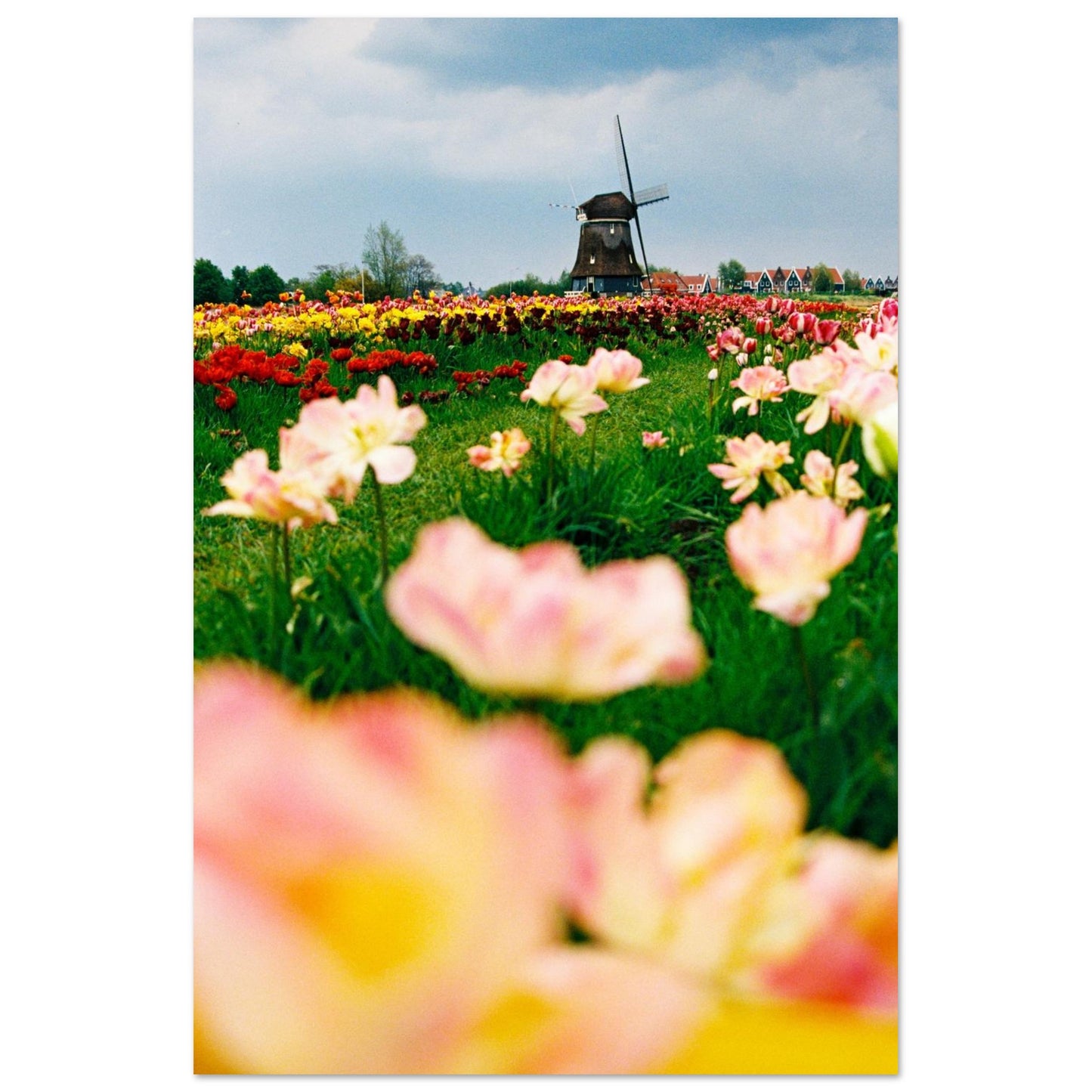 6a2bcfad-ee3f-4c7d-9a3d-63a1951966bb