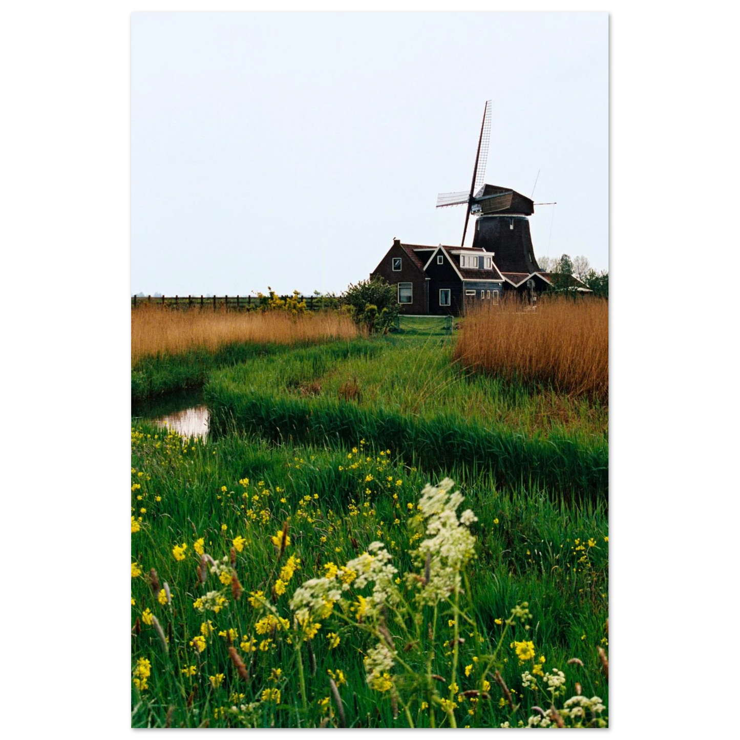 707e5221-52d4-44bb-a800-1042b65b69e7