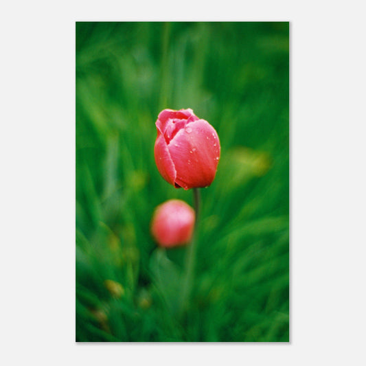 71748c06-0baa-4419-8d7f-3abf4fc8d8c1