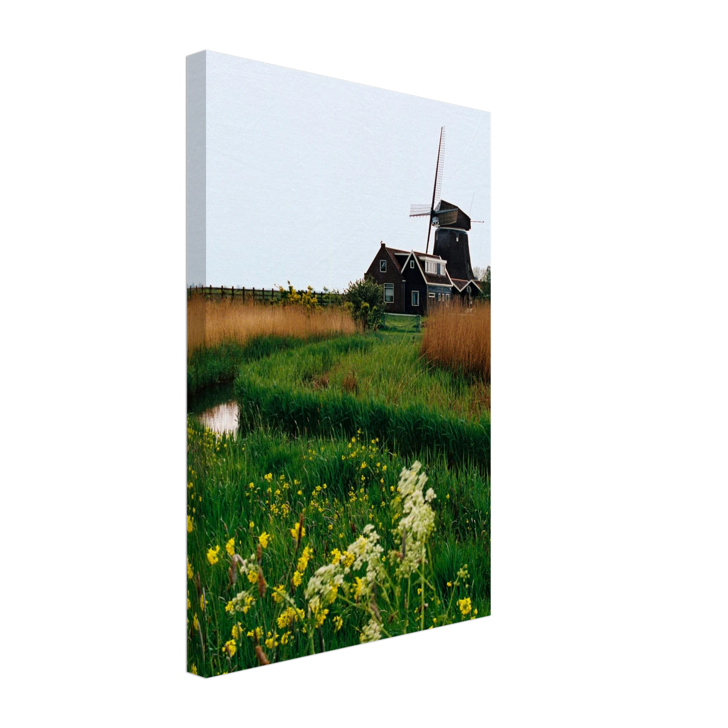 75f05381-e5ba-48c2-a0ca-d91c95f7beab