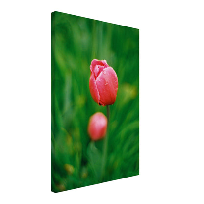 84735c5d-fd20-46ac-b6b5-5f452ef93356