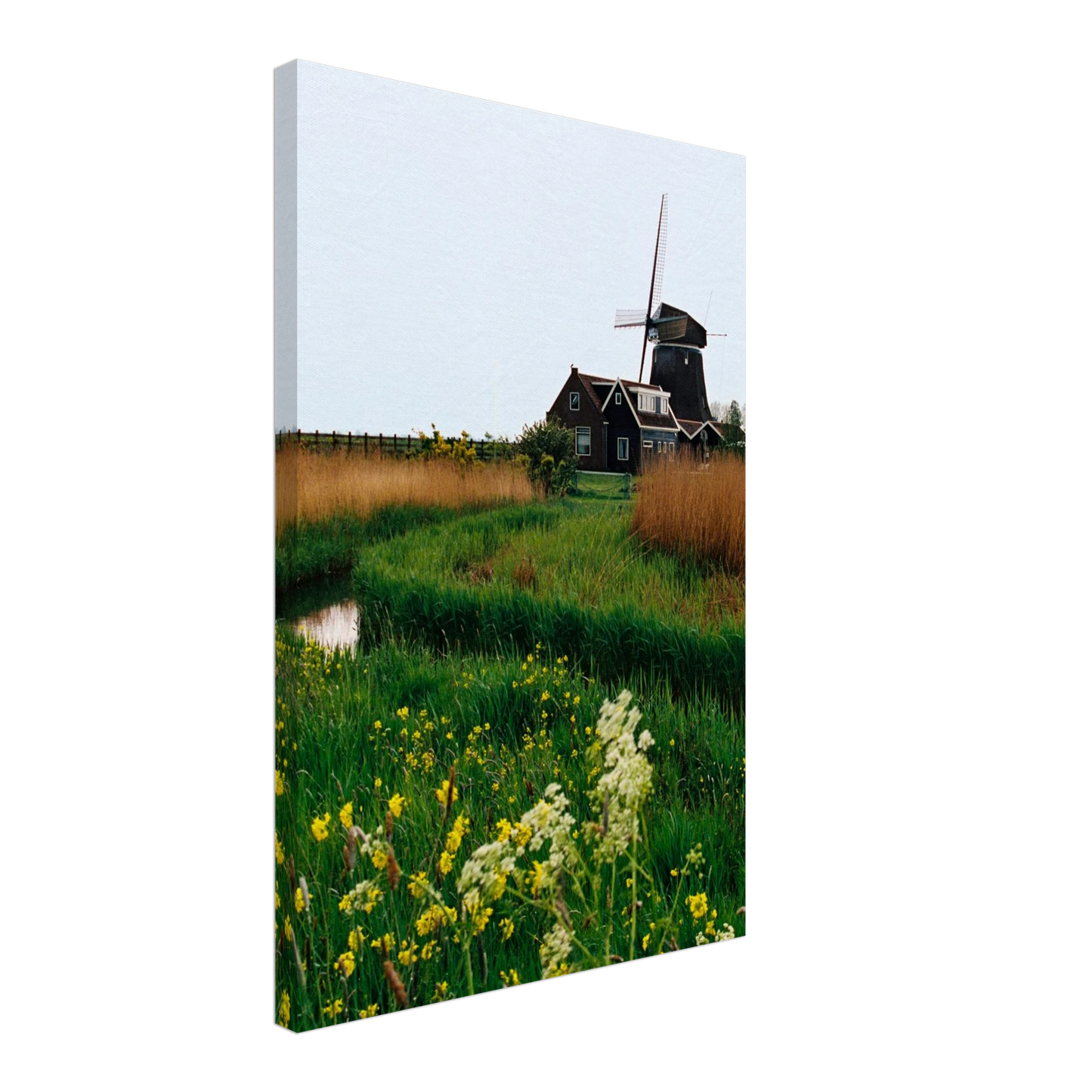 887b3d76-2842-4f17-8755-34f0dc591050