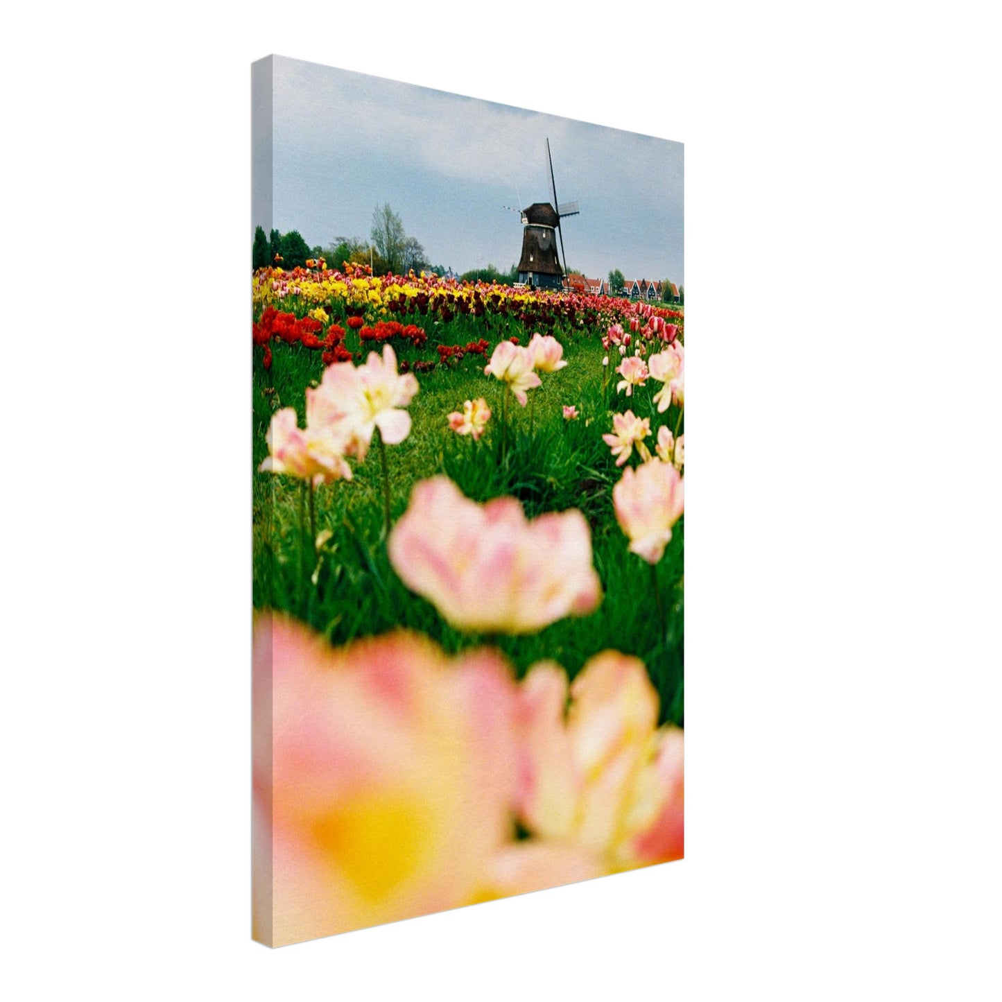 8d48781d-5621-4b81-a94c-e9ef7151540e