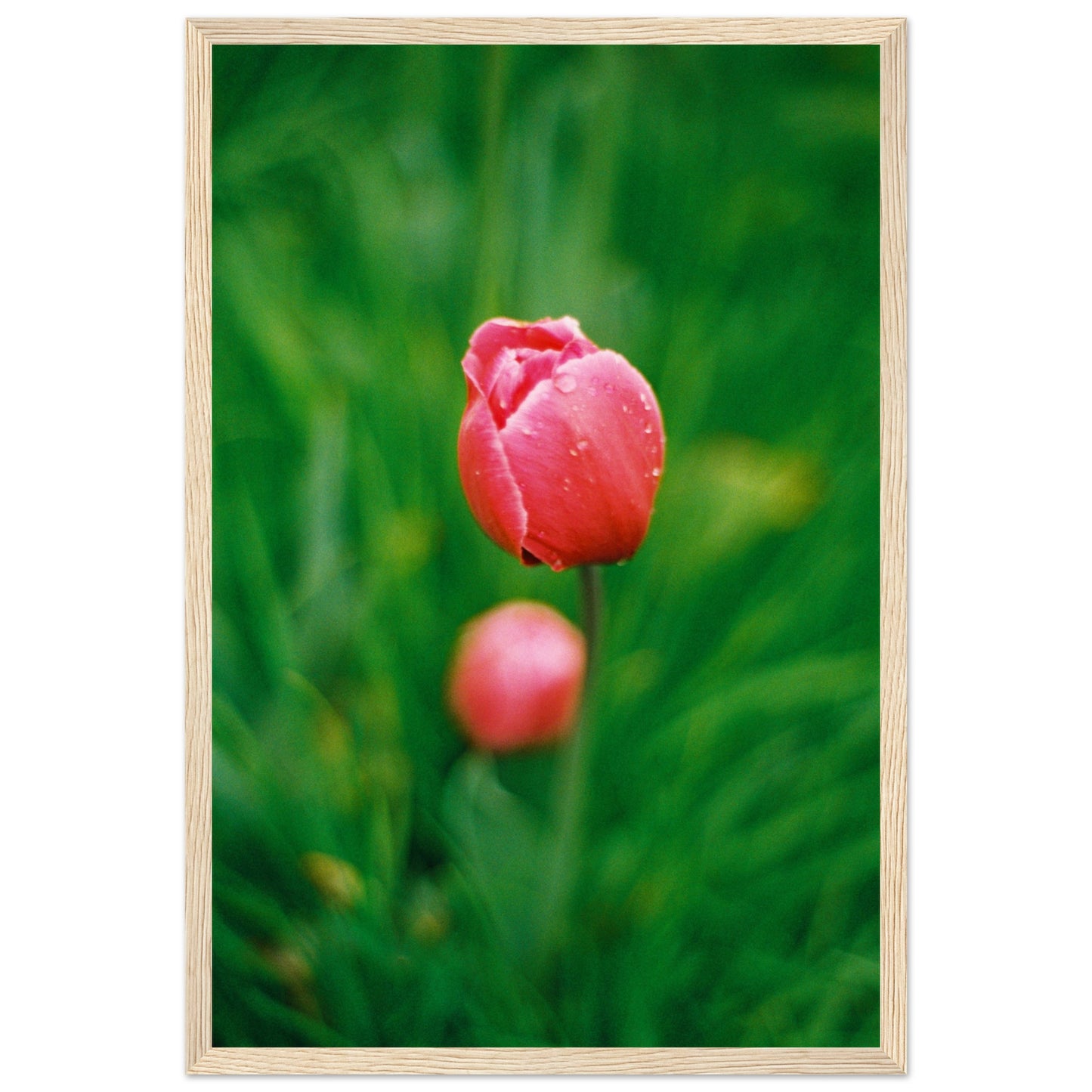 8efa5cb5-6a9d-4ed3-9337-9f64dffa1cfb