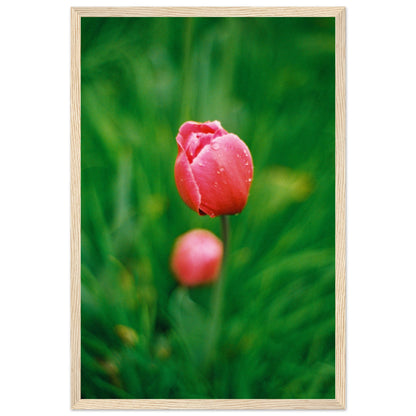 8efa5cb5-6a9d-4ed3-9337-9f64dffa1cfb