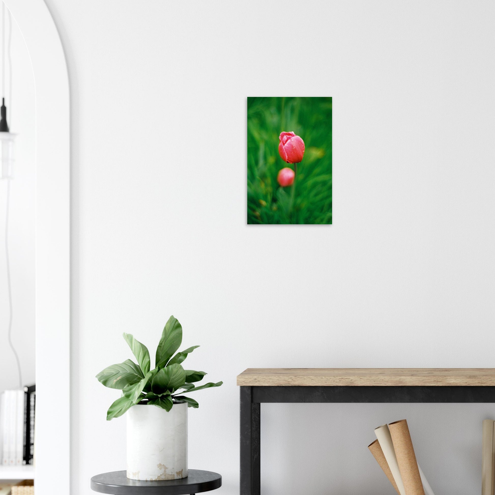 8fdb3036-cd11-47cc-af55-3f7df7ffba2f